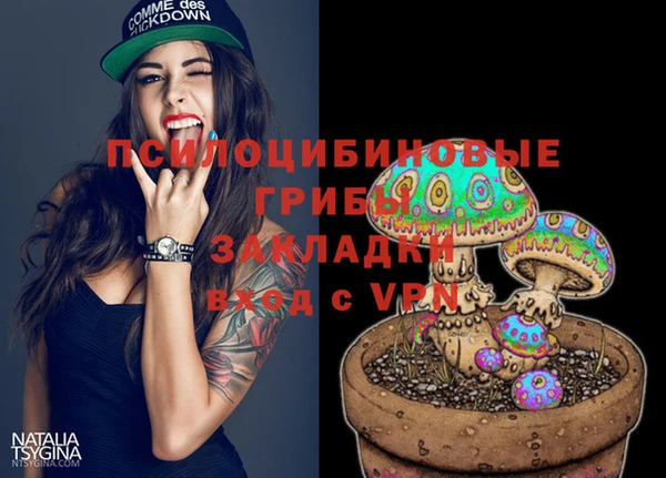 соль ск Алзамай