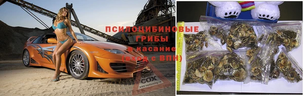 бутират Алексин